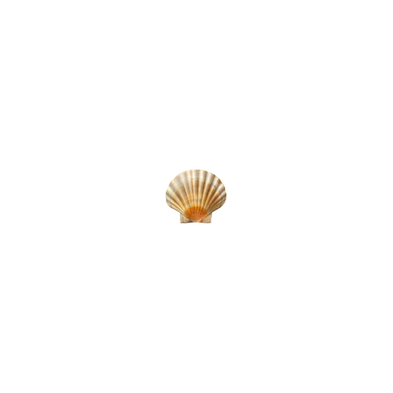 helios-Pecten-Naturelle-S4-Gear-Oil_000017711424